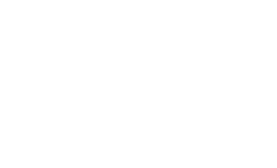 Wildflower